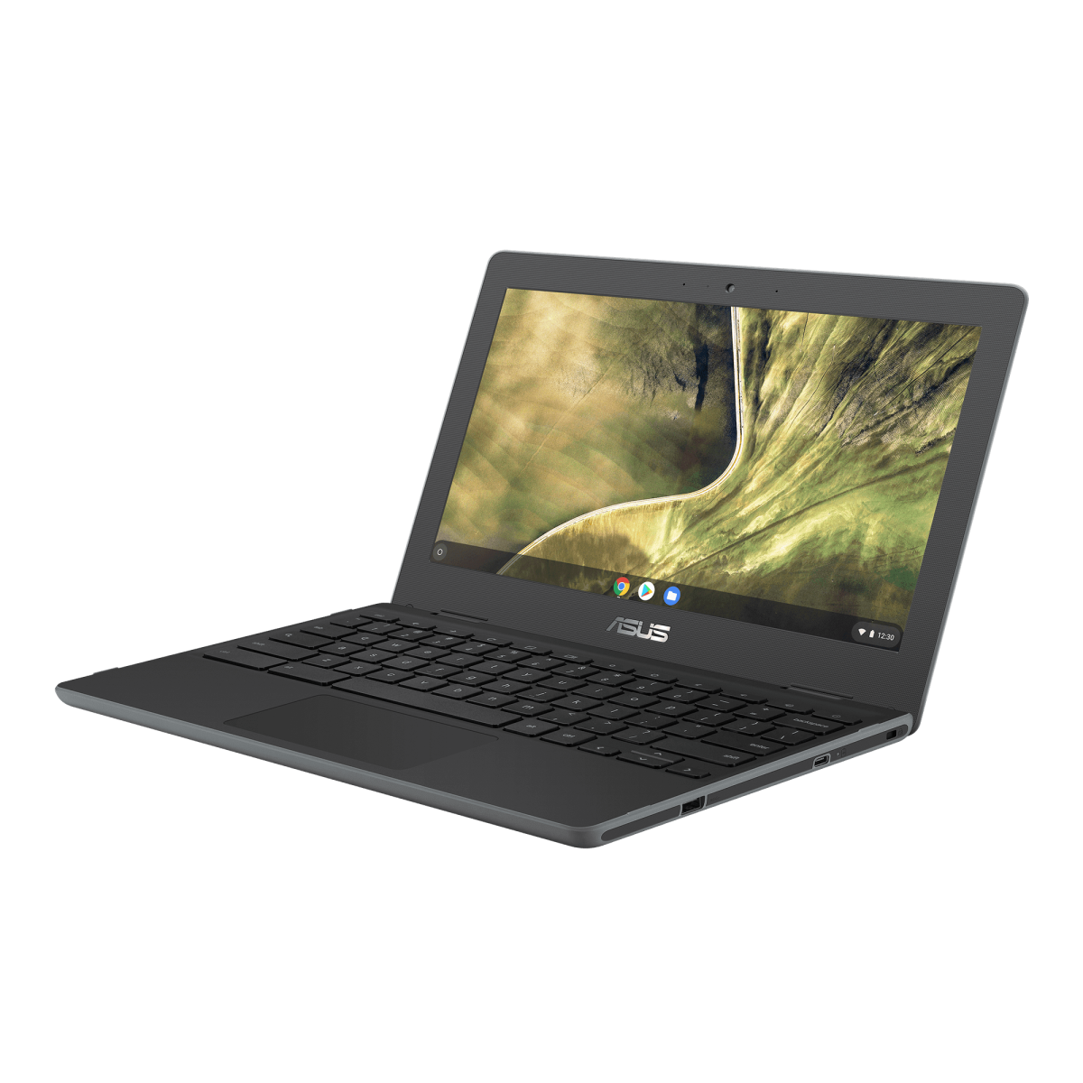 Asus Chromebook 11 C204E