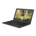 Asus Chromebook 11 C204E